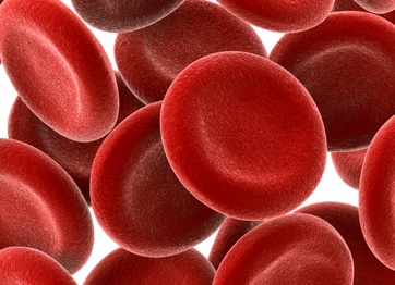 bloodwork